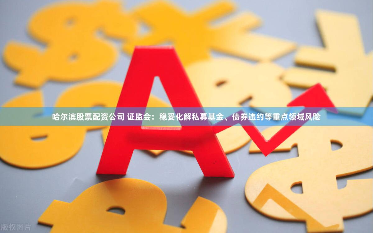 哈尔滨股票配资公司 证监会：稳妥化解私募基金、债券违约等重点领域风险