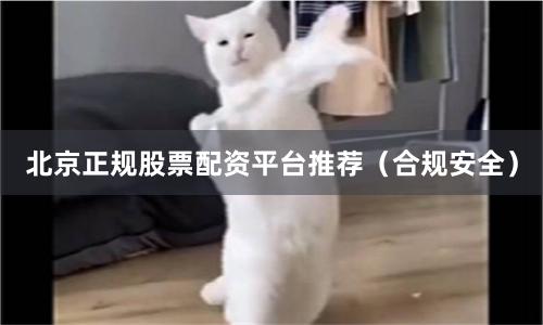 北京正规股票配资平台推荐（合规安全）